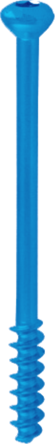 Non Locking Screw In Assam