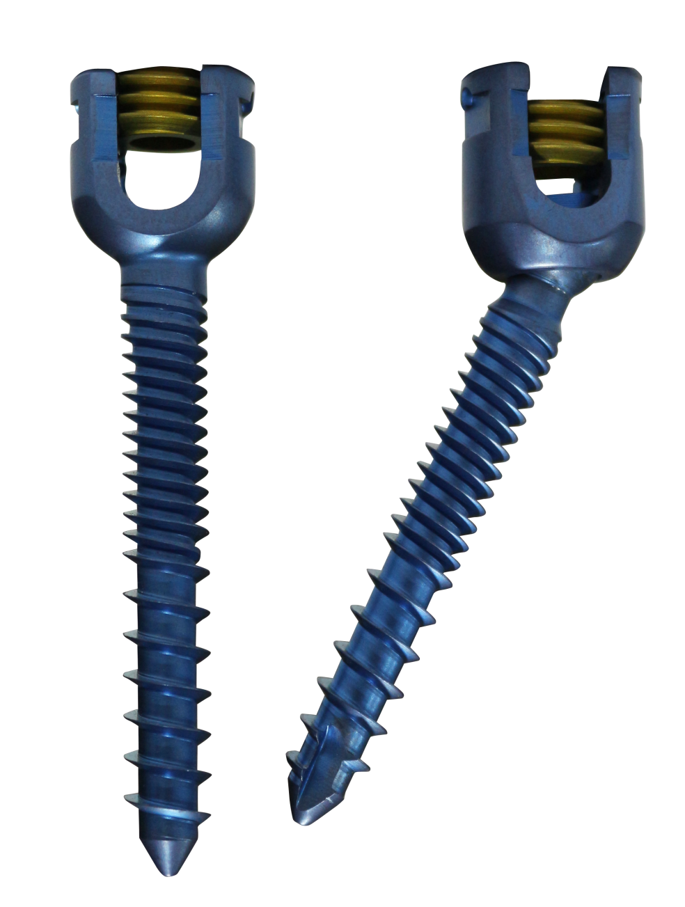 Spine Screw In Chile